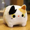 2022 New Square Love fat cat plush doll soft cute big face pussy ragdoll for children soothing cylindrical lithe down cotton pillow kid gift