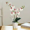 Dekorativa blommor kransar artificialflower 2 gaffel phalaenopsis krukväxt vardagsrum TV -skåpdekorationer Creativeminimalistminibonsa