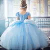 신데렐라 베이비 블루 플라워 여자 드레스 2022 공주 선 첫 친교 거룩한 어린이 대회 대회 할로윈 벨벳 어린이 생일 파티웨어 2022