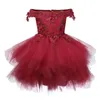 Robes de fille née bébé fille 1 an anniversaire robe rouge dentelle tulle enfant en bas âge baptême infantile princesse fête tutu robe costume