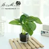 Decorative Flowers & Wreaths Simulation Green Plant Leaves Square Glass Potted Creative Indoor Ornaments Artificial Interior Decoration Succ