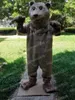 Performance Plush Bear Mascot Trajes de Halloween Caracteres de desenhos animados de Natal Terno de publicidade Carnaval unissex adultos roupas
