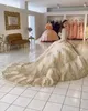 2023 샴페인 비즈 퀸 네라 드레스 레이스 업 아플리케 (Appliqued Long Sleeve Princess Ball Gown Ball Gown Prom Party Wear Masquerade Dress Wly9359175084)