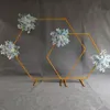 Feestdecoratie bruiloft smeedijzeren boog geometrische zeshoekige plank achtergrondarrangement decoratieve bloemen schapparty