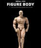 Gwtoys 1 12 g 001 Супер сильная мышца Гибкая фигура фигура Мужской мужчина 6 -дюймовый кукольный модель игрушки 220531