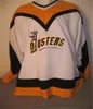 C2604 Vintage Dusters Hockey-Trikot 42 Jim O'Brien 7 Goldthorpe 18 Brian Lee Binghamton Broome Stickerei Nähen Trikots Benutzerdefinierter Name und Nummer