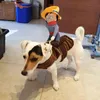 Disfraz de perro Ven a montar en Halloween Traje divertido Vestir accesorios para perros pequeños Poodle Corgi Chihuahua Traje Ropa para mascotas L220810