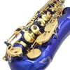 Hochwertiges professionelles Es-Altsaxophon aus schwarzem/blauem/rotem Messing, vergoldetes professionelles Ton-SAX-Performance-Instrument