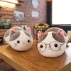 35 cm schattige zachte dessert Cat Teacher Plush Toy Kitten Doll Girl Pillow Children's Birthday Gift Fabrikant Groothandel