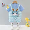 born Baby Girls and Boys Clothing Suit For Spring summer Grils Bows Set Cute Overalls Baby Clothing Set For Boys Clothes 220608