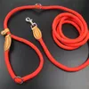 Dog Collars LeashesNylonP Chain Leash 8.5 ft Long Easy Training Pet Medium Large Runsing Supply