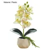 Décoratif Fleurs Couronnes Artificielle Papillon Orchidée Bonsaï Faux Plante En Pot Attrayant En Plastique Mini Décor Blanc Pot Fleur Pour Househo