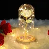 Strings Mothers Day Flowers Gifts Colorful Artificial Flower Galaxy Rose With Led Light In Glass Dome From DaughterLED StringsLED