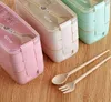 Lunch Box 3 Grid Wheat Straw Bento Transparent Lid Food Container For Work Travel Portable Student Lunch Boxes Containers Tableware