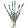 Couronnes de fleurs décoratives 24 pièces branches d'eucalyptus tiges naturelles réelles pour la douche plante vivante intérieur mariage bricolage décorationdécoratif