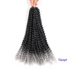 18 tum Passion Twist virkning Hårflätning för svarta kvinnor 22Strands/Pack Butterfly Locs Water Wave Hair Extension LS06