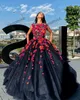 Robe de bal princesse Quinceanera, Vintage, fleurs 3D, douce 16 ans, robes de fête d'anniversaire, 2022