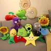 Heta spelfyllda tecknade växter Plush Toy Bookhelf Decor Pop Creative Pillow Room Decorative Funny Plant Kid Birthday Present J220704