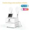 Hi-EMT Body Contouting Slimming Emslim Machine Muscle's Stimulator Muscle Strength Body Shaping Device