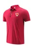 22 рубашки для отдыха Wales POLO для мужчин и женщин летом, дышащая сетчатая ткань из сухого льда, спортивная футболка с логотипом, можно настроить