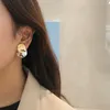 Dangle & Chandelier Fashion Metallic Earrings Irregular Geometric Front And Back Earings Jewelry WholesaleDangle Farl22