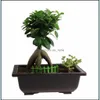 Retrostyle plastica vaso bonsai balcone quadrato fiore fioriera vivaio vasi bacino Eta Cuadrada consegna di goccia all'ingrosso 2021 fioriere giardino S