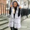 Women's Vests Sleeveless Coat 2022 Y2K Autumn Winter Women Casual Hooded Vest Faux Fur Warm Streetwear Korean Fashion Ladies Jacket Long