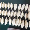 Machine automatique d'empanada de boulette de machine de machine de Gyoza de fabricant de ravioli de forme de lune