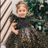 Meisjes Sequin Jurk Prinses Peuter Kids Baby Ruffles Tutu Bowknot Verjaardag Bruiloft Prom Kinderen Elegante Doop Kleding 220422