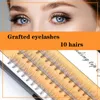 Falska ögonfransar 10 Scarecrow Simulation Grafting Fairy Clip Single Cluster Eyelash Makeup Tool