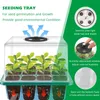 Grow Lights Pack Seedling Tray With Light Plant Seed Starter Trays Kit Greenhouse Growing Holes 12 Cell Per TrayGrow
