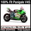 Ducati Panigale için OEM Fairings V4 V4 S R V4S V4R 18-21 Gövde Kiti 1dh.96 Sokak Savaşçısı V4-S V4-R V-4S 2018 2019 2020 2021 V-4R 18 19 20 21 Enjeksiyon Kalıp Gövdesi Yeşil Sayan