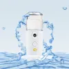 Mini nano dim spray ansiktsbehållbar USB ansiktsbehandling pxz0729