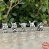 925 Sterling Silver Dangle Charm Tiger Charm Pärlor Bead Fit Pandora Charms Armband DIY Smycken Tillbehör