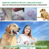 Hondenkragen ontleen Pet Anti Flea Tiks Insect Mugoes 8 maanden Bescherming Waterdichte Langdurige kraag aangepaste puppycatdog