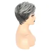 New Fashion Women's Short mix gary Cosplay Hair Wig