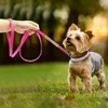 Halsbanden Verstelbaar Suède Puppy Halsband Leiband Set Zacht Strass Kleine Middelgrote Honden Katten Wandelen Roze Xs S Mthe