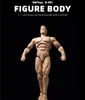 Gwtoys 1 12 G 001 Super Strong Muscle Flexible Action Figure Body Man Man 6Inches Doll Model Toys 220531