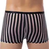 Caleçons CLEVER-MENMODE Hommes Mesh Boxers Sous-vêtements transparents Culottes sexy Trunks Culotte taille basse Shorts à séchage rapide StripedUnderpants