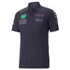 F1 Yarış Polo Gömlek T-Shirt Formül 1 Takım T-Shirt Yaz Yeni Yarış Hayranları Açık Mekan Kısa Sleeve Sıradan Spor Toplu T-Shirt
