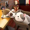 Soft dessert cat teacher plush toy kitten doll girl pillow children's birthday gift manufacturer wholesale