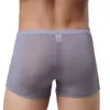 Mutande Intimo uomo sexy Slip rigonfio elefante Custodia T Lingerie Pantaloncini Stile romanzo Affascinanti uomini SospensorioMutande