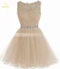 Baumegantom neueste billige Tüll -kurze Abschlusskleider plus Größe Applikes Mini Formal Abend Prom Homecoming Party Kleid Y220519