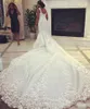 Sjöjungfru kristaller arabiska dubai plus storlek bröllopsklänning v neck blommig pärlstav sparkly katedral tåg tulle brudklänning robe de marie