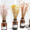 Ghirlande di fiori decorativi 30-60 pezzi Decorazione di nozze Decorazioni artificiali di erba di coda di fiori secchi naturali per la casa fai da te