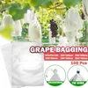 Clephan 100 st väskor nät för vegetabiliska druvor fruktskydd Växa från OS -nät mot insektsskadedjursbekämpning Home Garden 220714