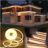 Neon Light 12V Waterproof LED Strip Lights SMD 2835 120LEDsM Flexible Rope Tube Decoration for Wall Bedroom Christmas Holiday3831967