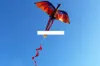 cartoon kites