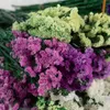 Dekorative Blumen Kränze natürliche echte getrocknete Blumenstrauß Hochzeit Braut nicht vergessen mich Pflanzen Dekor für häusliche Schlafzimmer Geschenkboxdecorat