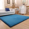 Tapijten tatami matten tapijt voor woonkamer blauw grijs kind baby spelen dikte 2,5 cm koraal fleece matras slaapkamer en rugscarpets